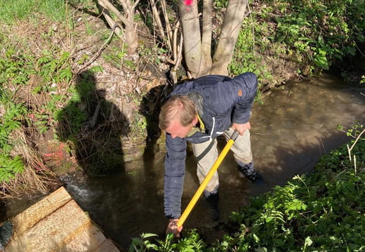 Revitalisierung Rütikanal